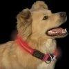 DOG GEAR NiteIze Nite Dawg Collar -Mountain Sales Store NiteIzeNiteDawgCollar 1080x1080